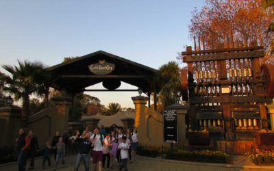 Day 14: Gold Reef City