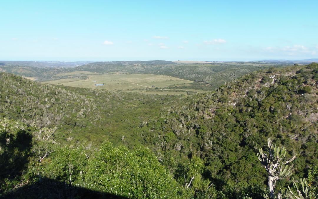 Day 2: Welcome to Kariega Game Reserve