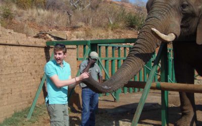 Day 15: Elephant Sanctuary