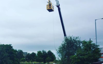 Zip Slide Across the River Ayr